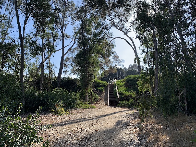 Challenge Course cover image