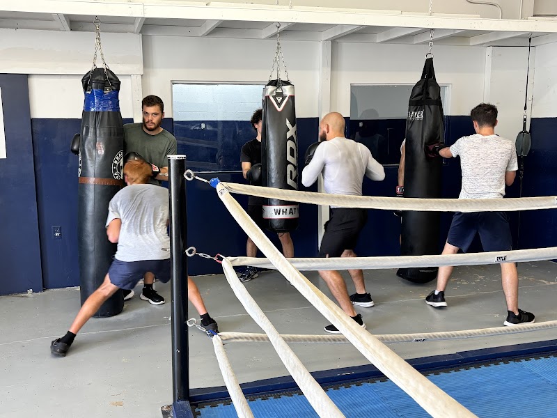 Brazilian Vale Tudo cover image