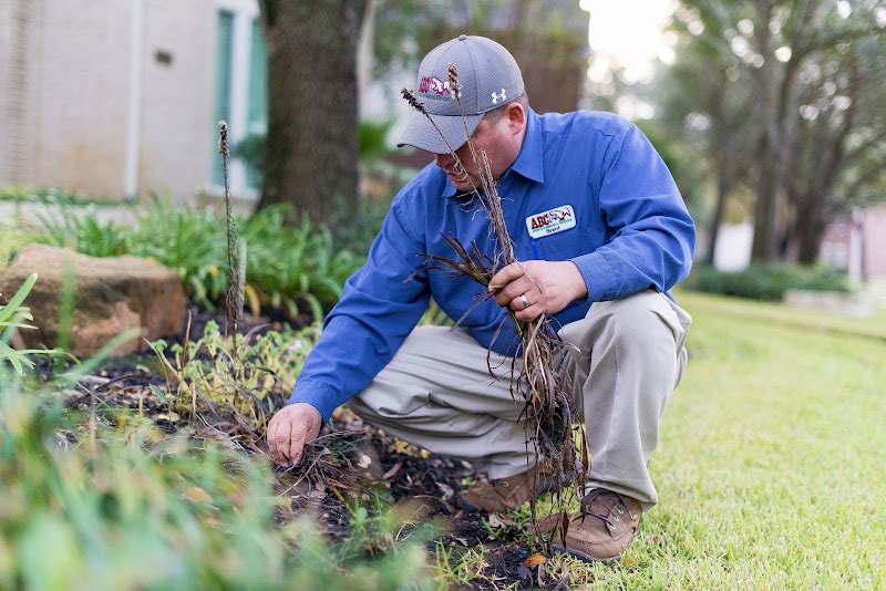 ABC Home & Commercial Services cover image