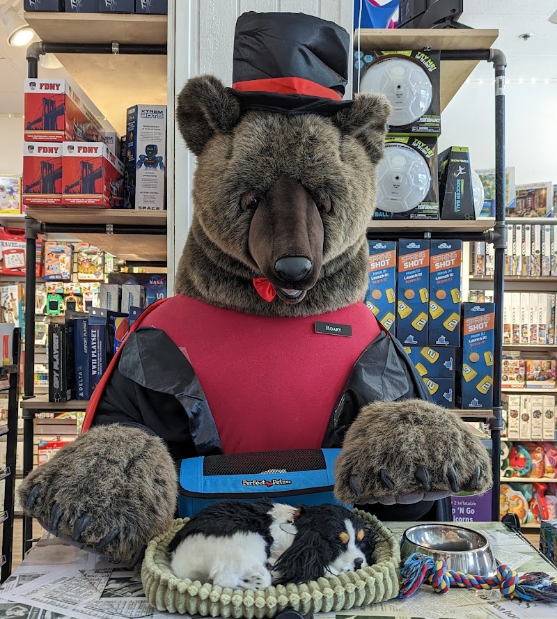 BrainyZoo Toys cover image