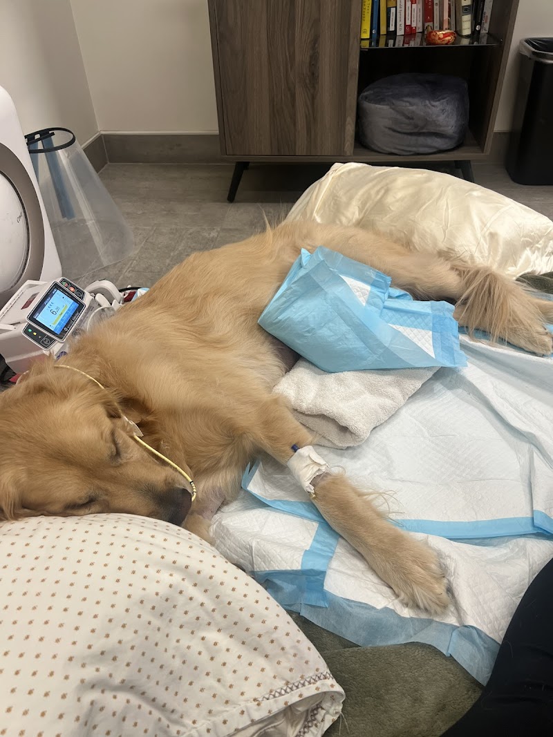 Veterinary Emergency Group cover image