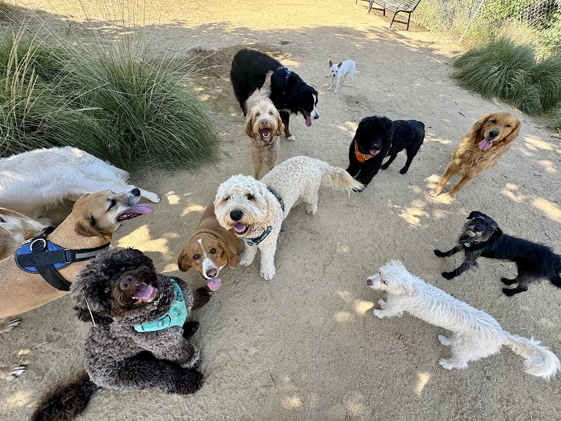 Elizabeth's Pet Sitting cover image