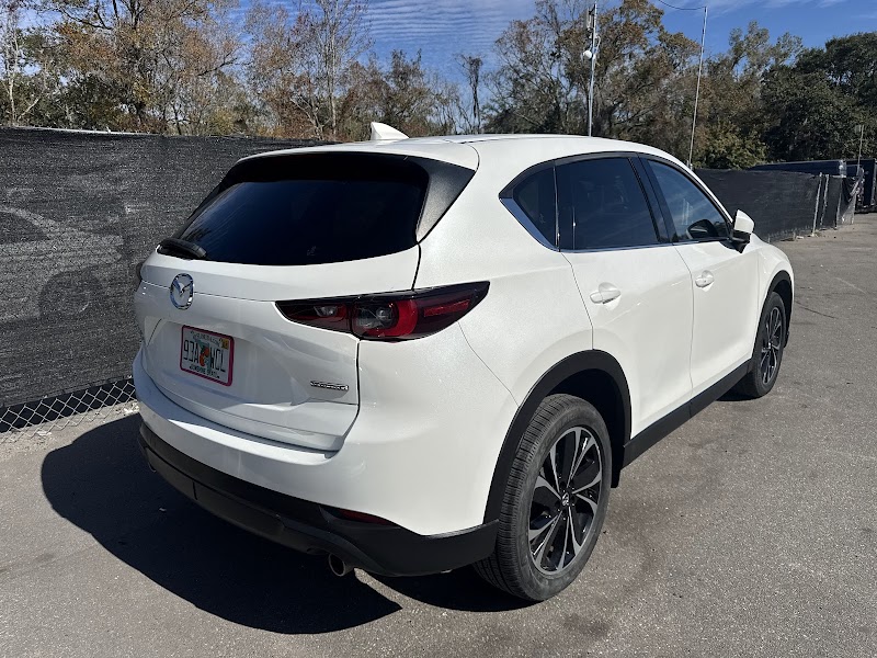 In Stock Auto Collision cover image