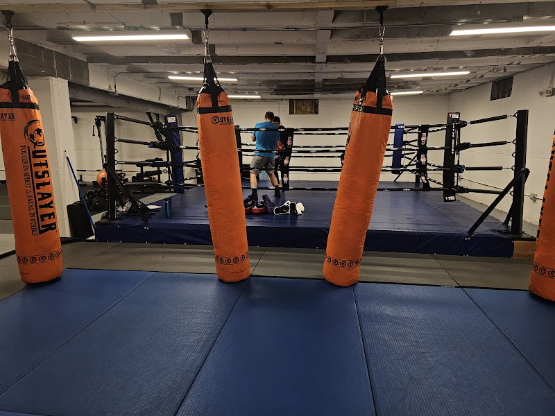 Bender Martial Arts and Fitness cover image