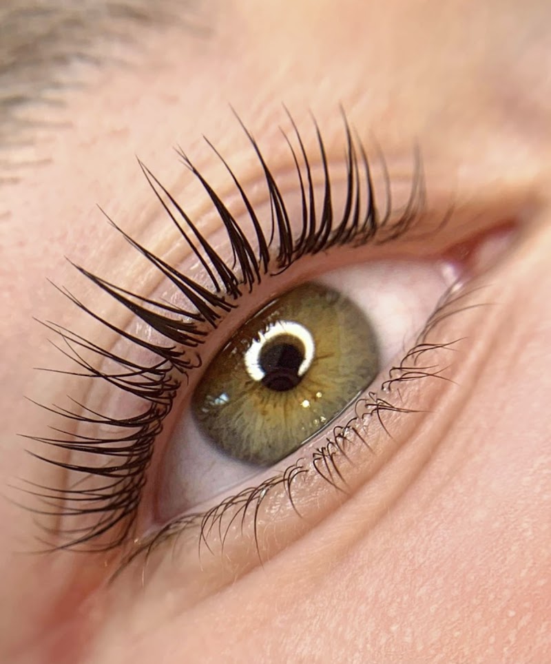 Le studio N°20 cover image