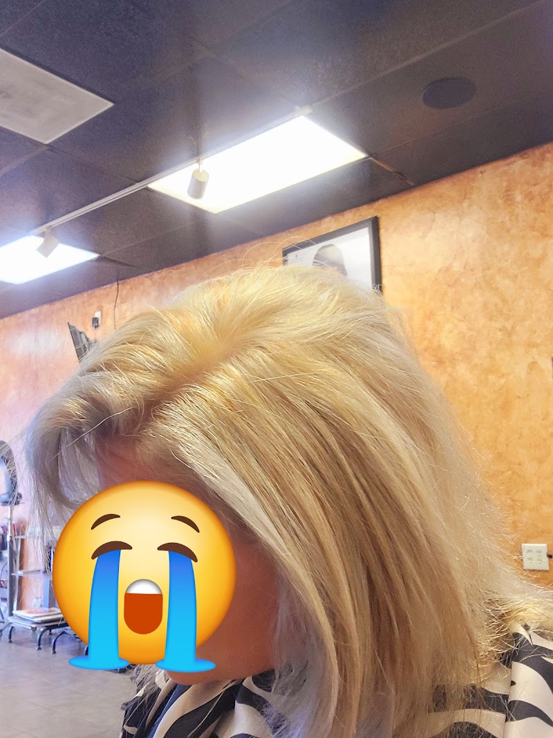 Vince's Salon cover image