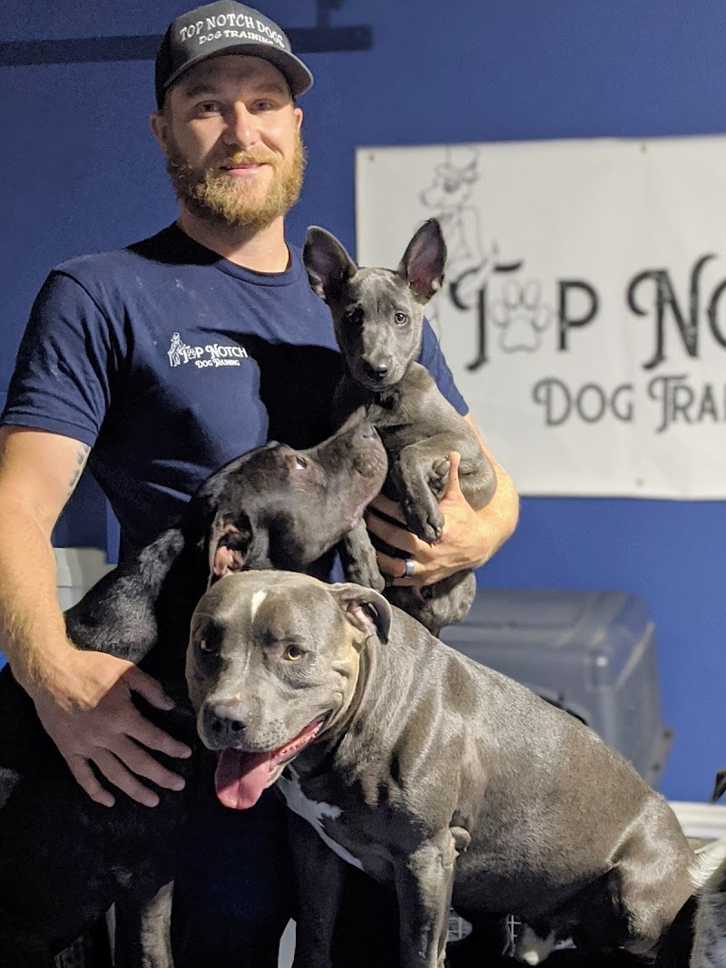 Sit Means Sit Northern Nevada cover image