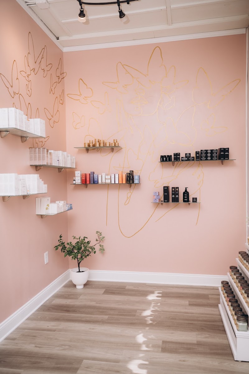 Tampa Bonita Skin cover image