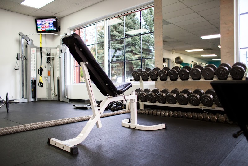 Body Basics cover image