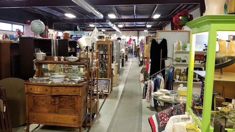 Feather Your Nest cover image