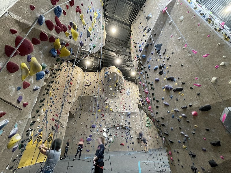 The Hive Heights cover image