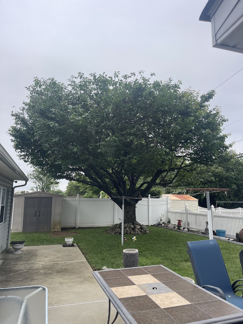 JG Landscaping & Tree Service cover image