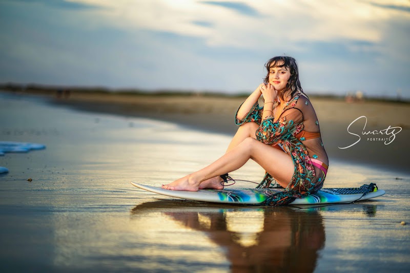 Swartz Portraits cover image