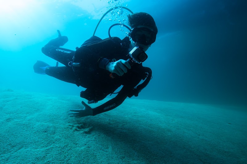 FIsh Out of Water Tours cover image