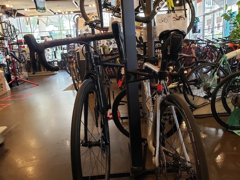 BRITTON'S Bicycle Shop cover image