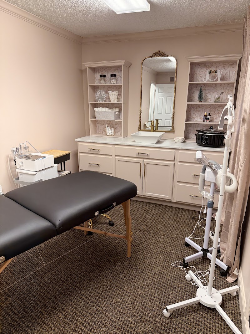 Willow Skin Therapy cover image