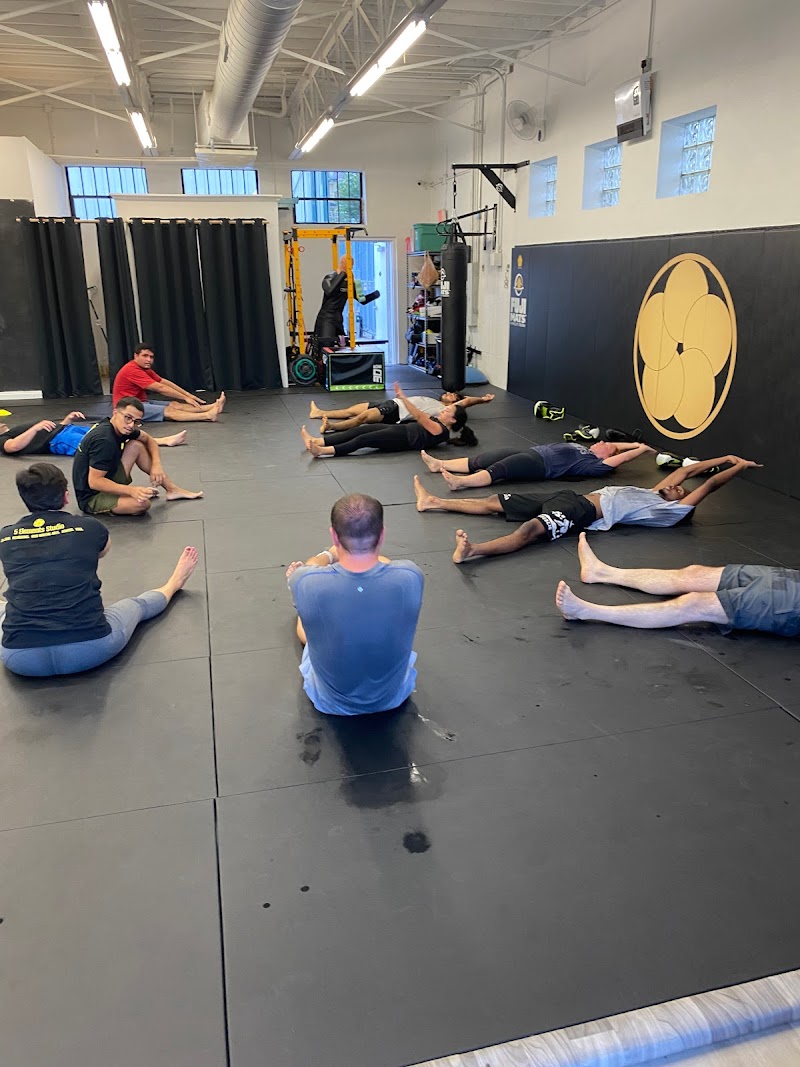 5 Elements Studio Jiu-Jitsu & Fitness cover image