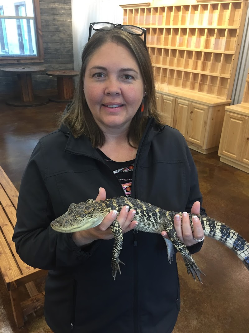 Heritage Tours cover image