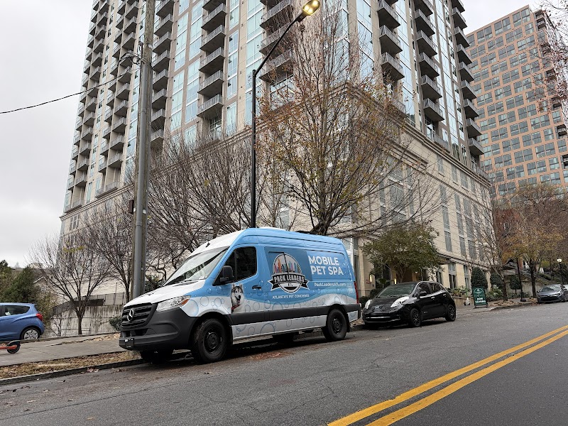 Pack Leaders ATL cover image