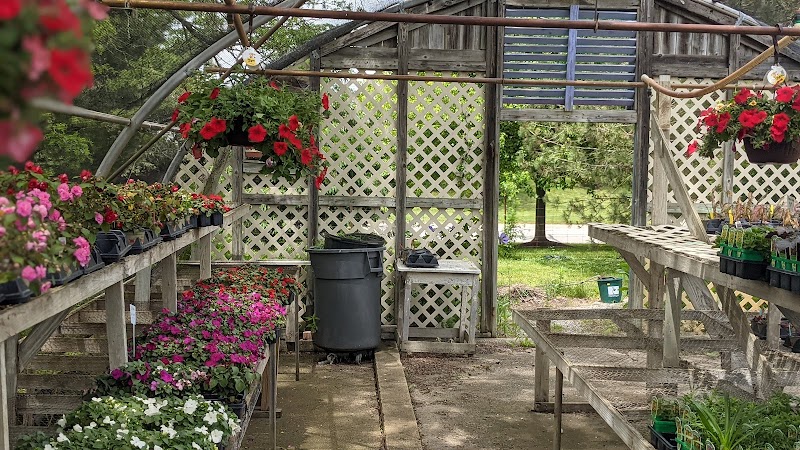 Geist Nursery cover image