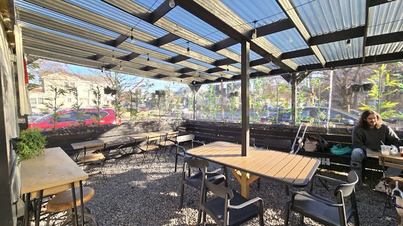 Little Native Coffee Co. cover image