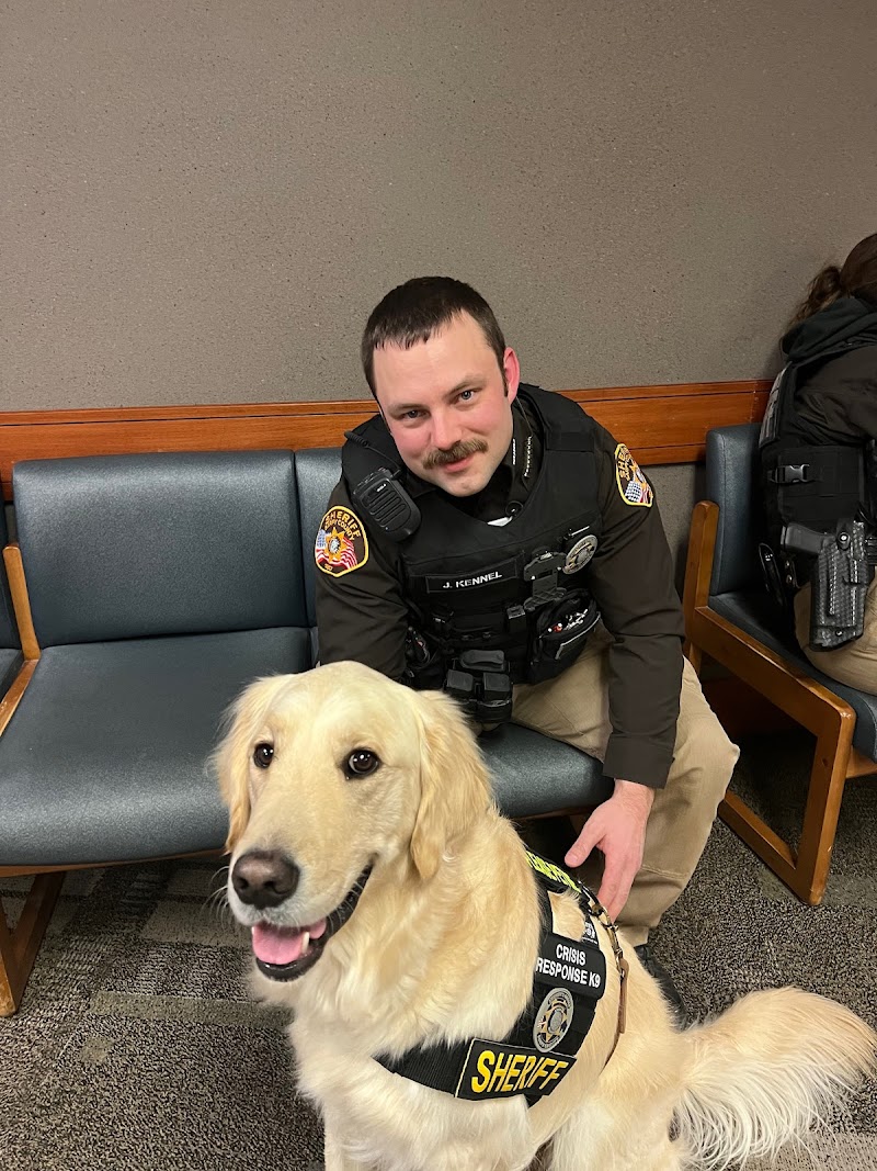 Nebraska Dog Trainers cover image