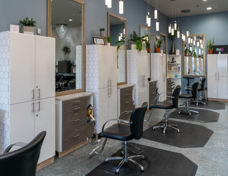 Honi and Hive Salon Spa cover image