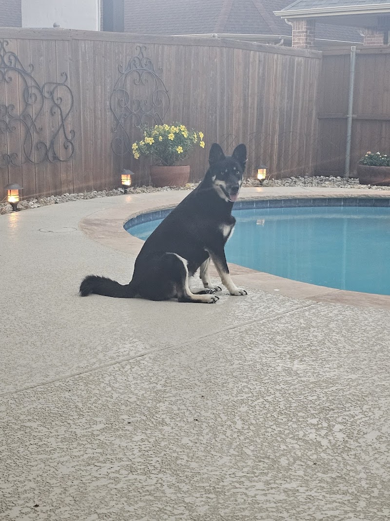 Creature Comfort Animal Clinic cover image