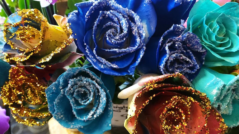 City Sweets Floral cover image