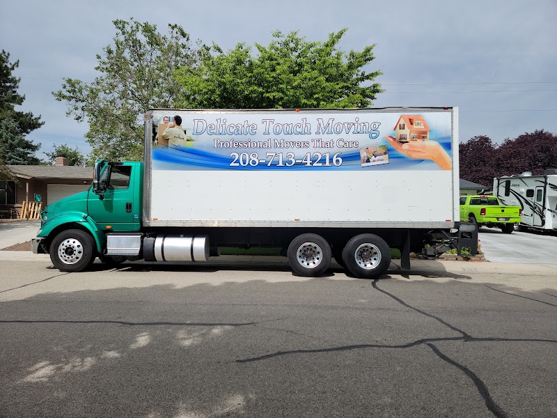 Delicate Touch Moving cover image