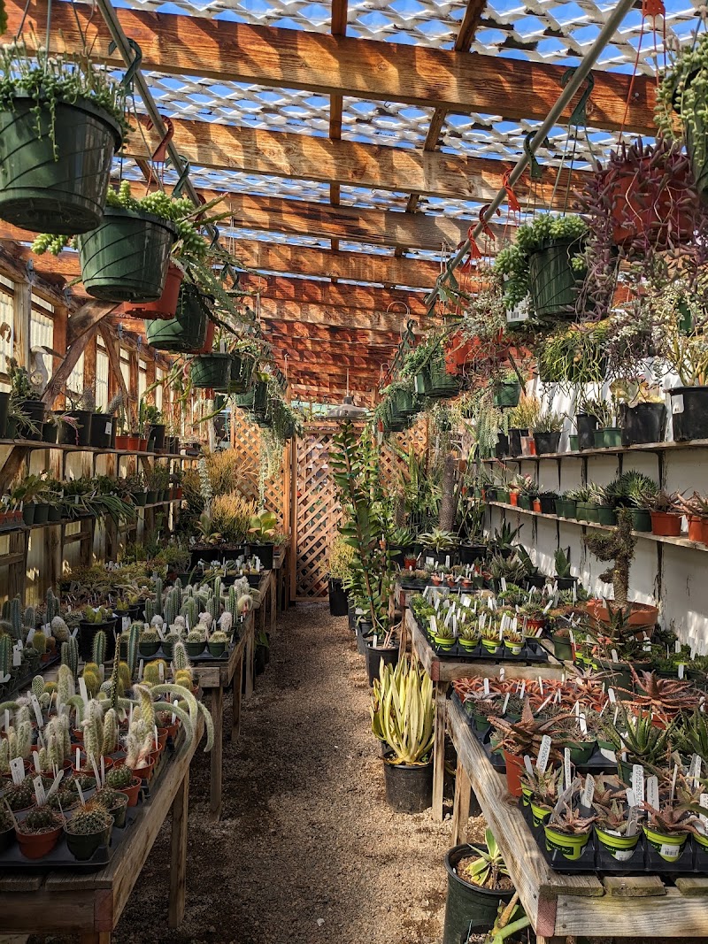 Dry Garden Nursery cover image