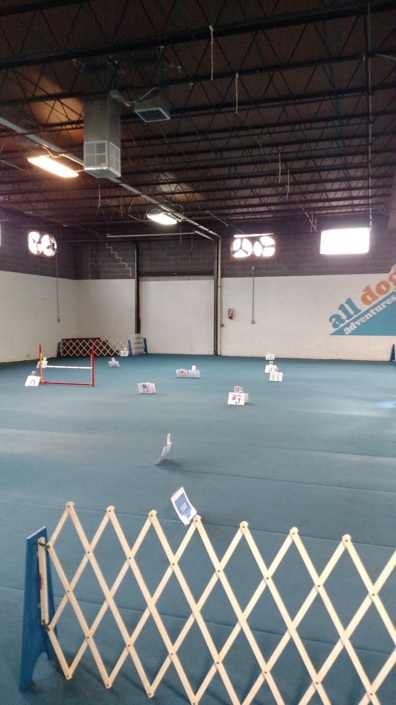 All Dog Adventures cover image