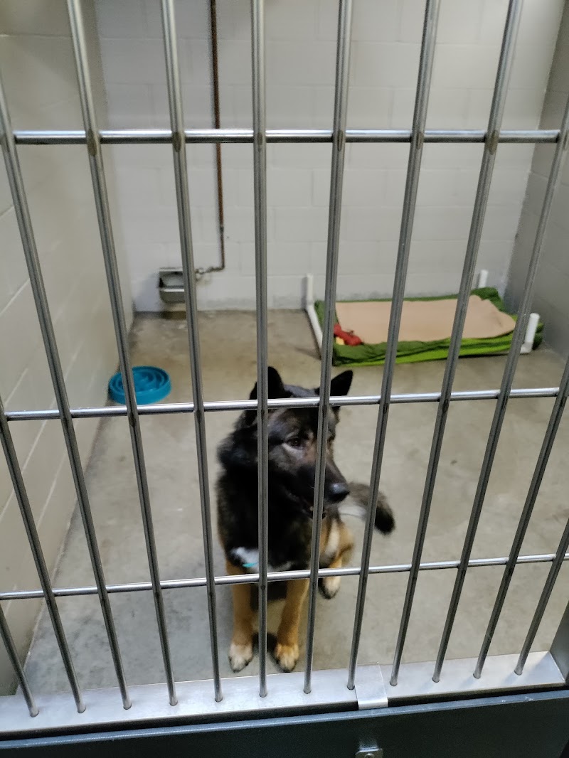 Sacramento SPCA cover image