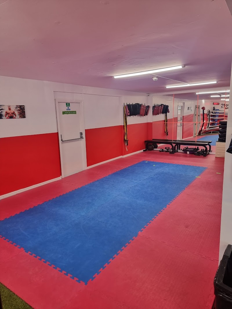 K.M.M.A. Freestyle Martial Arts Academy cover image