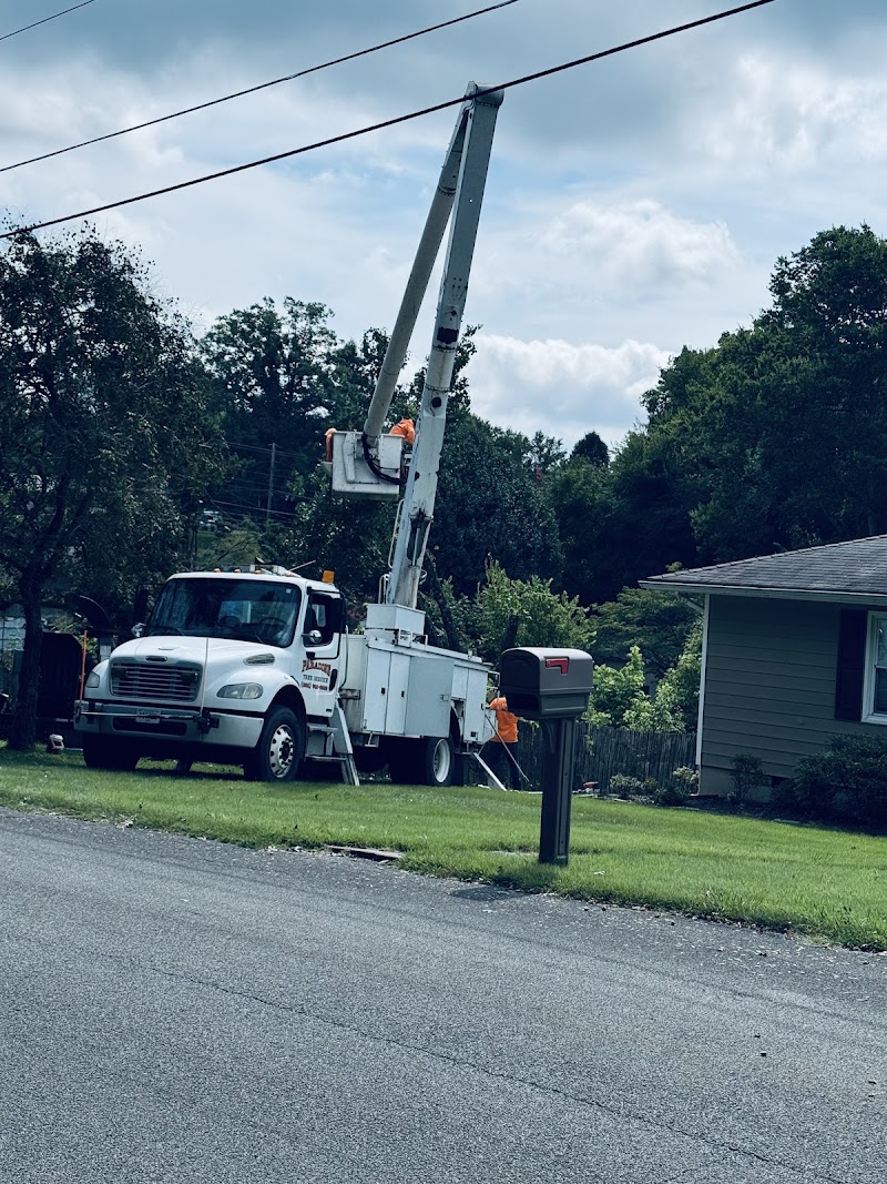 Paradise Tree Services cover image