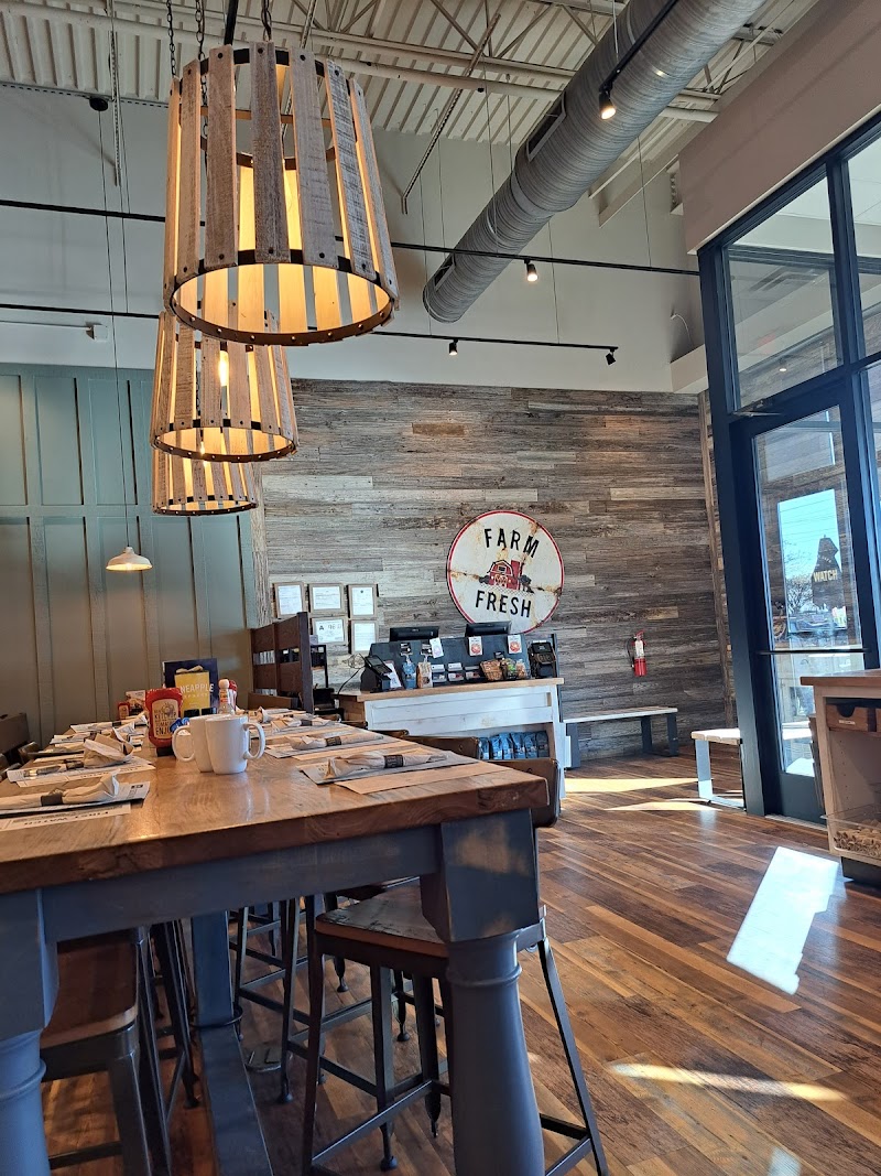 First Watch cover image