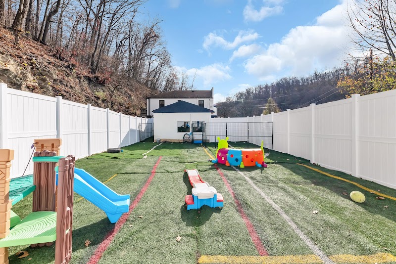 Friendly Paws LITTLES - Carnegie cover image