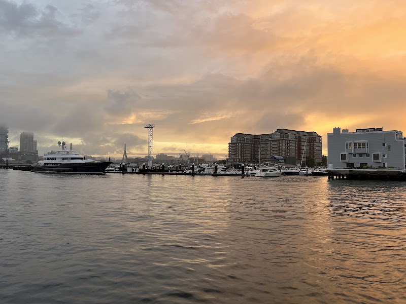 Night Rider Charters of Boston cover image