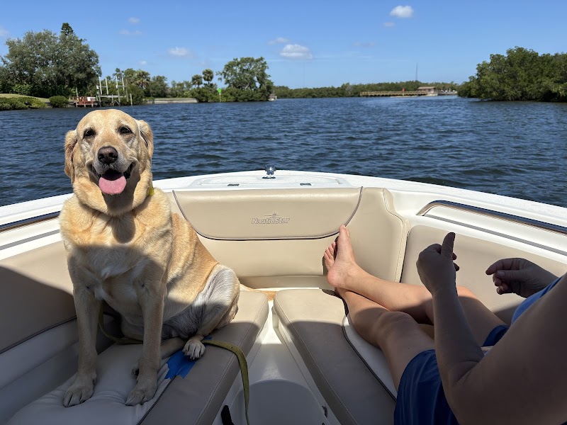 St. Petersburg Boat Charters and Tours - By Local Boat Charter cover image