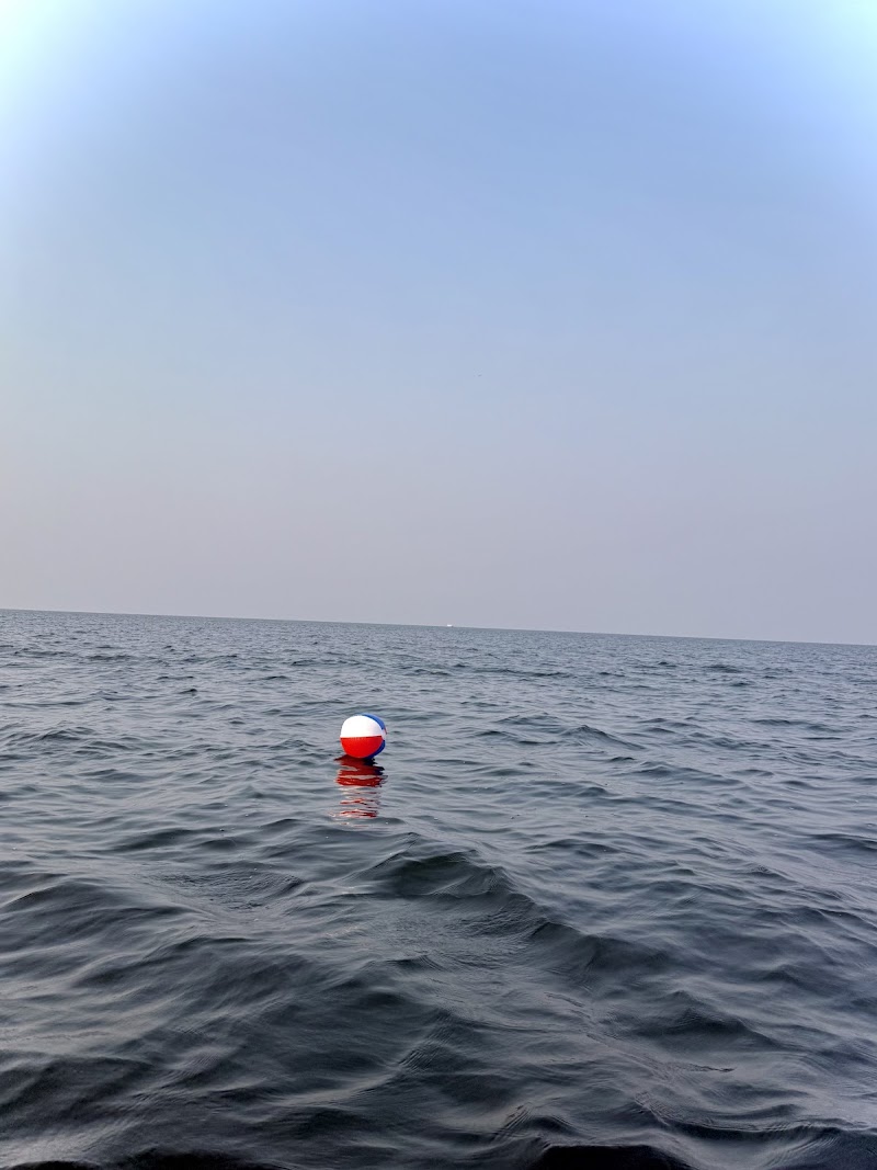 Boat Rental by Sail La Vie at Friday Harbour cover image