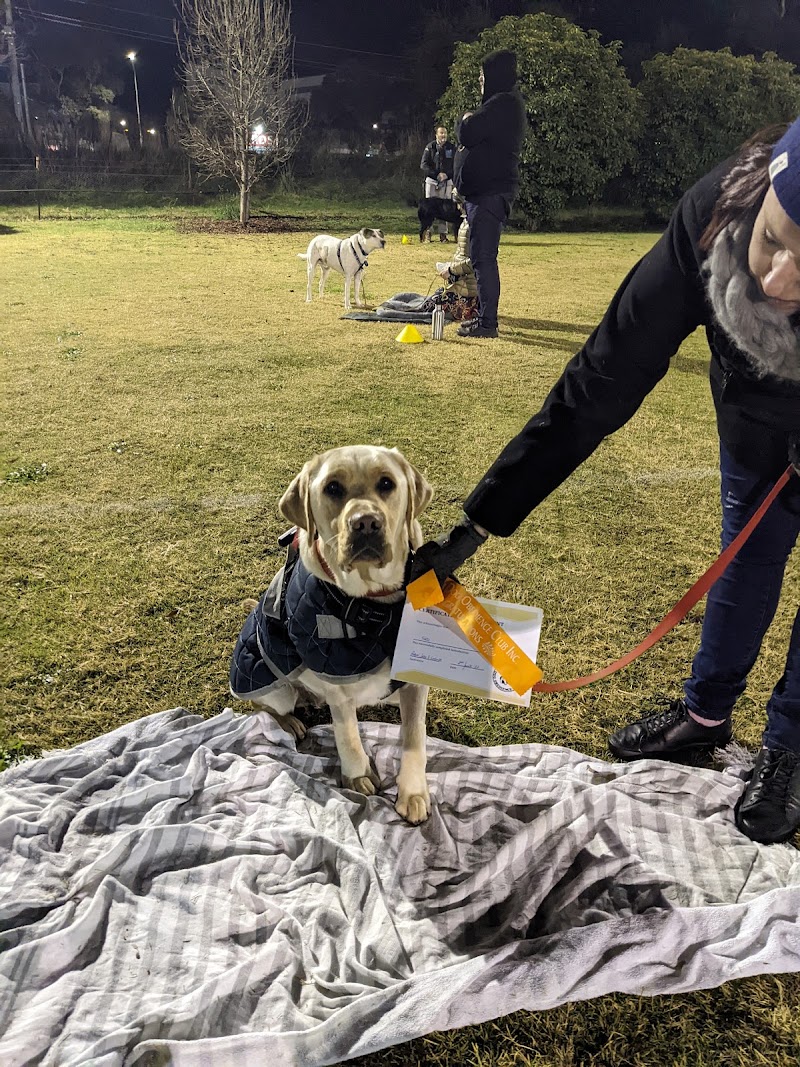 Belconnen Dog Obedience Club cover image