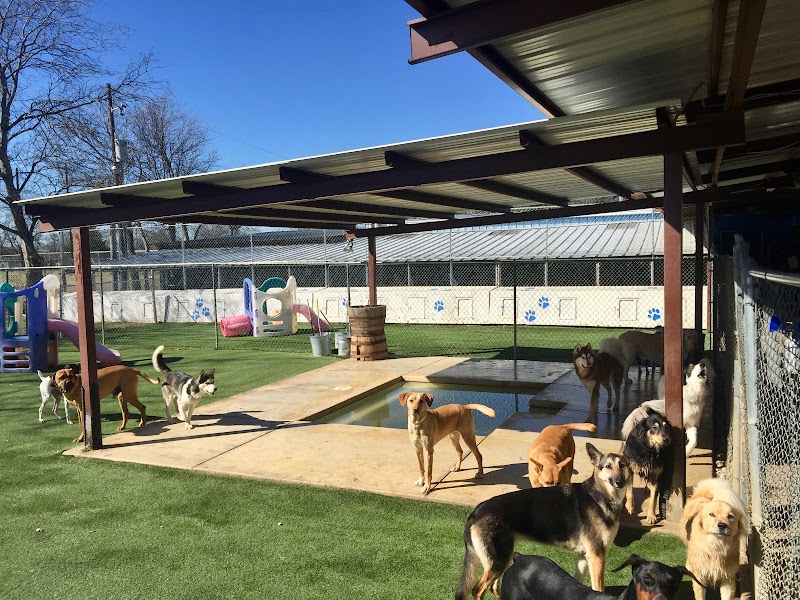Country Acres Pet Resort cover image