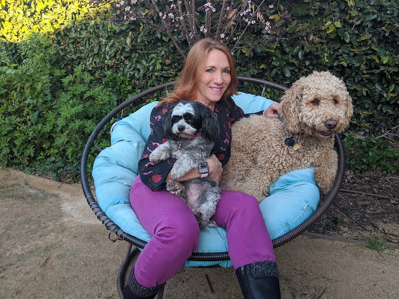 Move to Wellness cover image