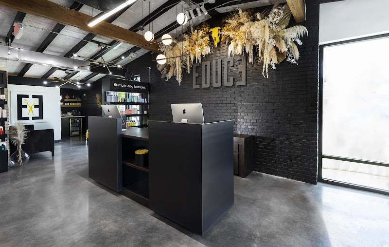 Educe Salon cover image