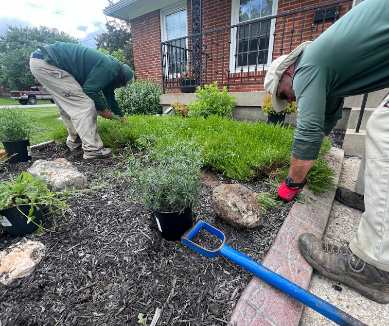 Wayne's Lawn Service cover image