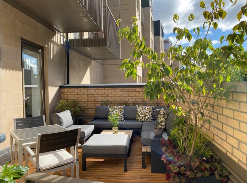 Tom Angel Studio cover image