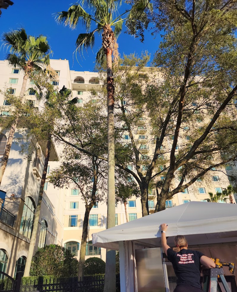 Doctor Furniture Repair cover image