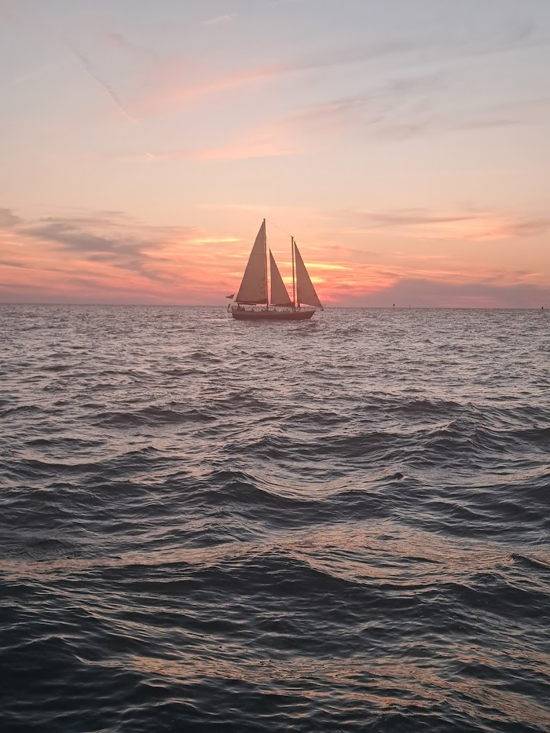 The Tropics Boat Tours cover image