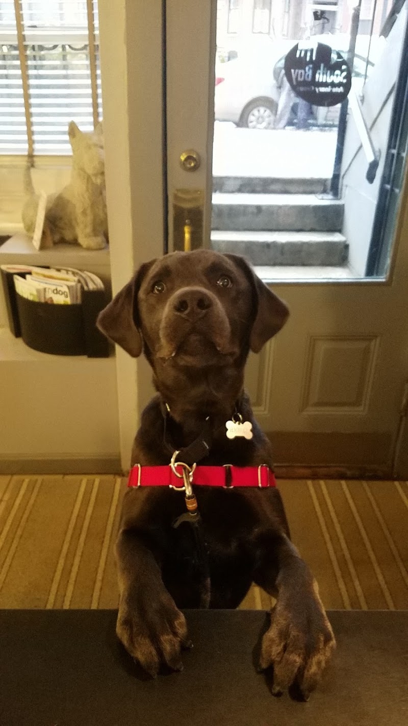 iWillWalkBoston, LLC cover image