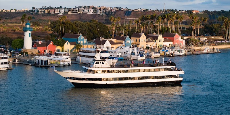 City Cruises cover image